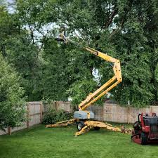 Best Lot and Land Clearing  in Walden, NY